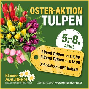 Tulpen-Oster-Aktion bei Blumen Maureen