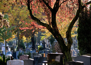 Tag des Denkmals 2023 - Lebendige Geschichten vom Friedhof