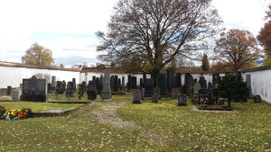 Tag des Denkmals 2023 - Denkmale am Jüdischen Friedhof in Steyr