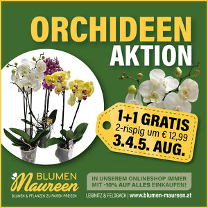 Orchideen - Sommeraktion 3.  5. August 2023 bei Blumen Maureen Leibnitz