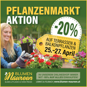 Pflanzenmarkt bei Blumen Maureen - -20% auf Balkon- & Terrassenpflanzen