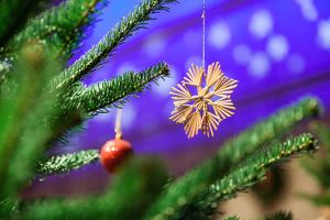 NÖ Adventsingen im Rahmen des Grafenegger Advents