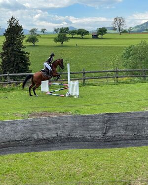 Pferde, Sport und Spiel-Turnier Turnier am  Pferdehof Stockner in Tober/Fladnitz an der Teichalm