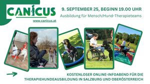 Online-Infoabend Therapiehundeausbildung