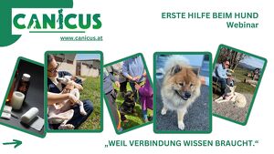 Erste Hilfe beim Hund