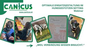So wird der Einsatz zum Erfolg - Optimale Einsatzgestaltung im hundgestützen Setting