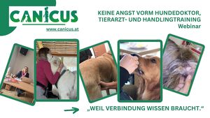 Keine Angst vorm Hundedoktor, Tierarzt- und Handlingtraining