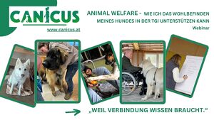 Animal Welfare - Wie ich das Wohlbefinden meines Hundes in der TGI unterstützen kann