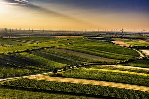Tour de Vin 2025 - Carnuntum