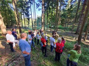 Wald der Zukunft - Führung am Jauerling