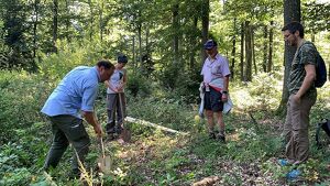 Wald der Zukunft - Führung in Klosterneuburg, Wienerwald