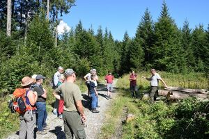 Wald der Zukunft - Führung bei Gnadenwald