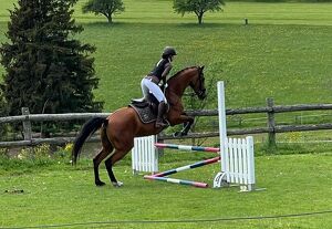 Pferde, Sport und Spiel-Turnier Turnier am  Pferdehof Stockner in Tober/Fladnitz an der Teichalm