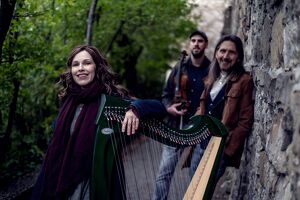 Celtic Folk - Spinning Wheel