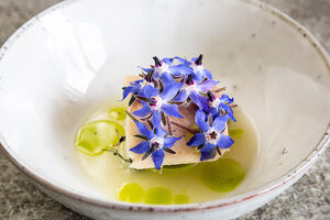 JRE Gourmet Weeks 2026 Fine Dining zum Kennenlernpreis