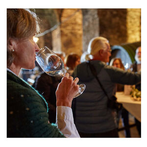 Barocker Bisch&ouml;flicher Weinkeller - auch Schlechtwetter-geeignet /&Ouml;ffnungszeiten ab 26. April 2026