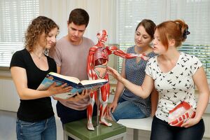 FH Gesundheitsberufe O&Ouml; beim Gesundheitstag des Ordensklinikums Linz