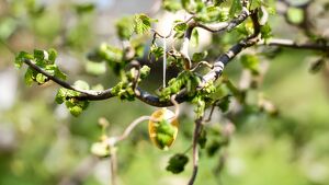 Ostereiersuche f&uuml;r Gro&szlig; & Klein im LOISIUM S&uuml;dsteiermark