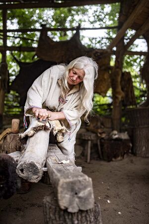 Germanenfest - Erleben Sie die Welt der Germanen!