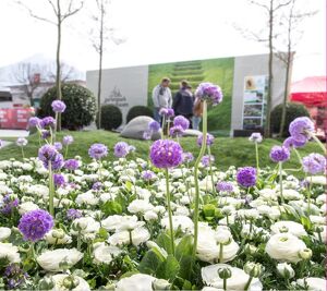 SCHAU! � Die Vorarlberger Fr&uuml;hjahrs- und Freizeitmesse 2027