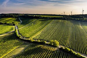 Carnuntum Experience am Rosenberg