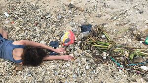 Performance �Evocation of Absent Landscapes�