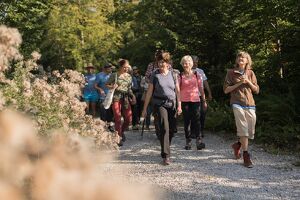 Wald der Zukunft-F&uuml;hrung bei Heuberg, Salzburg