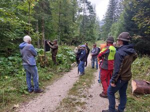 Wald der Zukunft-F&uuml;hrung bei Altaussee
