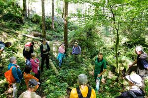 Wald der Zukunft-F&uuml;hrung im Echerntal bei Hallstatt