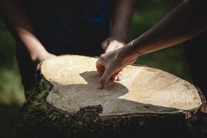 Wald der Zukunft-F&uuml;hrung in St. Johann