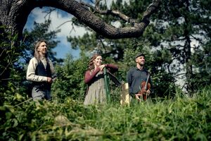 Irish Folk Konzert - Spinning Wheel