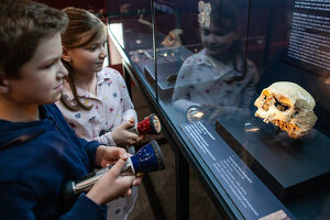 Nachts im MAMUZ Museum Mistelbach