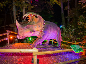 Neu: Dinos im Lichterwald - das Geheimnis des Wintersterns